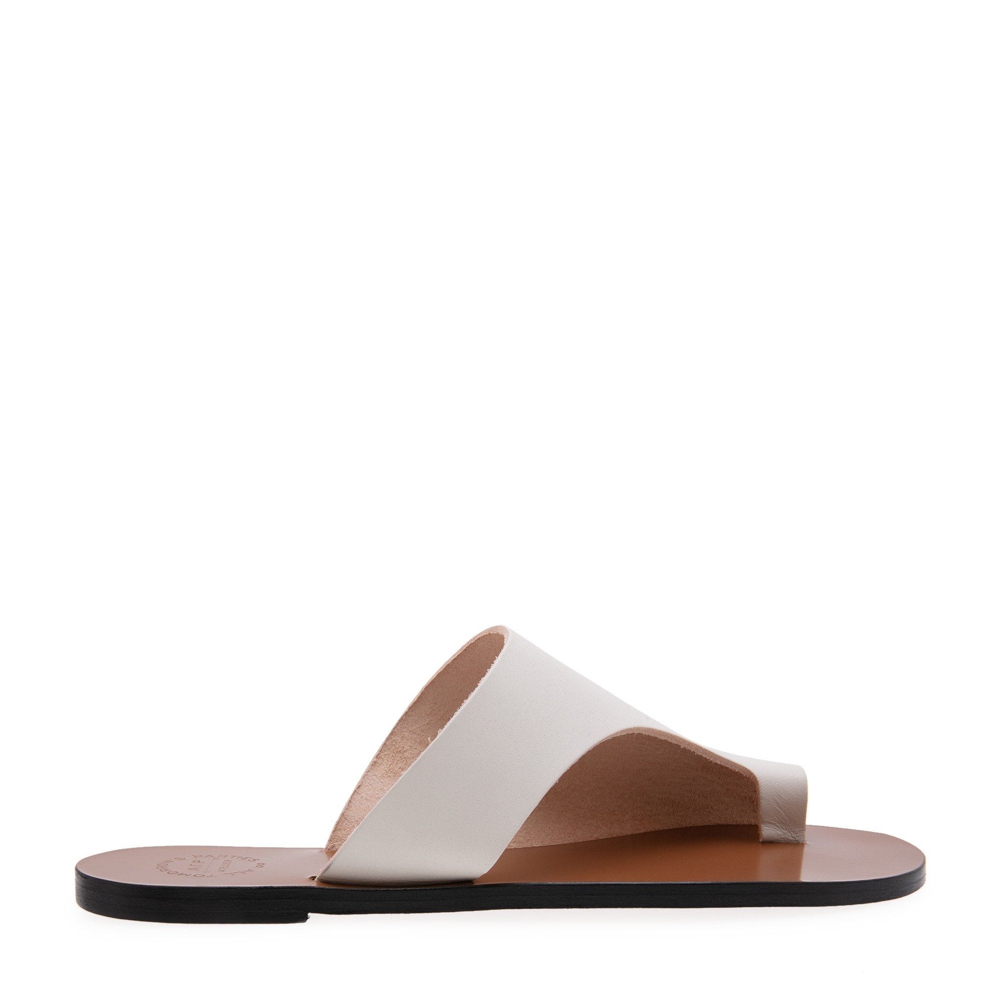 Atp rosa slides 2025